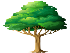 2D Tree, Efficient Search, Balanced Structure, Geometric Shapes, Nearest Neighbor PNG