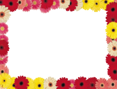 Abstract Frame, Layout, Artwork, Borders, Creative PNG