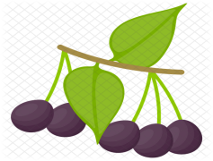 Acai Berry, Smoothie Bowl, Superfood, Nutrient-Rich, Antioxidants PNG