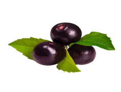Acai Berry, Superfood, Organic, Antioxidants, Health Benefits PNG