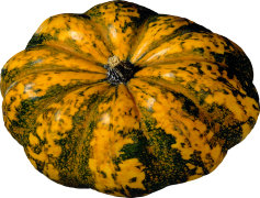 Acorn Squash, Nutritious, Vegetable, Healthy, Roasted PNG