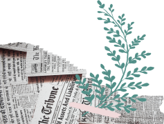 Aesthetic Newspaper, Artistic, Elegant, Curated, Retro PNG