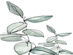 Aesthetic Theme Minimal, Tranquil Vibes, Modern Style, Simple Shapes, Timeless Beauty PNG