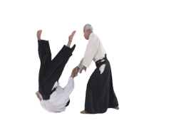 Aikido, Martial, Harmony, Movement, Practice PNG