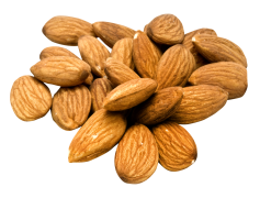Almond Nut, Antioxidant Benefits, Versatile Ingredient, Culinary Uses, Healthy Snack PNG