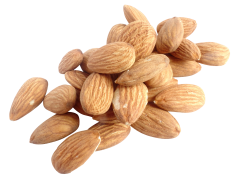 Almond Nut, Crunchy Texture, Heart Health, Plant-Based Protein, Versatile Ingredient PNG