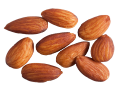 Almond Nut, Nutrient Dense, Heart Health, Versatile Ingredient, Healthy Snack PNG