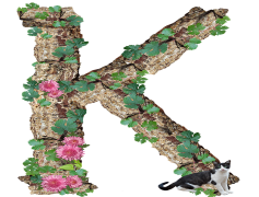 Alphabets, Fonts, Typography, Writing, Calligraphy PNG