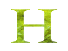 Alphabets, Scripts, Characters, Typography, Letters PNG