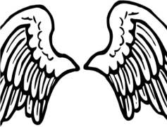 Angel Wings, Celestial Embrace, Heavenly Flight, Guardian Presence, Seraphic Beauty PNG