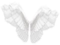 Angel Wings, Divine, Graceful, Ethereal, Seraphic PNG