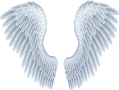 Angel Wings, Heavenly Feathers, Mystical Embrace, Seraphic Presence, Celestial Beauty PNG
