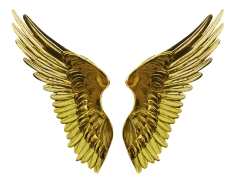 Angel Wings, Heavenly, Spiritual, Seraphic, Ethereal PNG