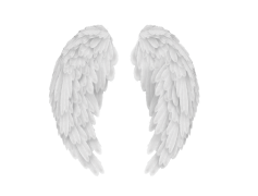 Angel Wings, Spiritual, Celestial, Ethereal, Divine PNG