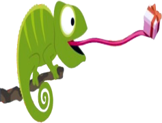 Animal Party, Joy, Creatures, Celebration, Gathering PNG