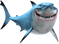 Aquatic Nemo Shark, Colorful Fish, Marine Predator, Sea Creatures, Aquatic Environment PNG