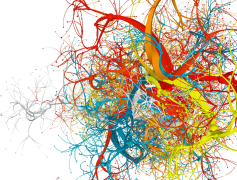 Art, Craftsmanship, Aesthetics, Creativity, Culture PNG