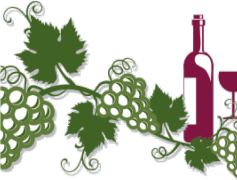 Art Grape Vine Leaf, Botanical, Vine, Greenery, Textures PNG