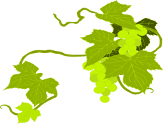 Art Grape Vine Leaf, Flora, Nature, Leaves, Greenery PNG