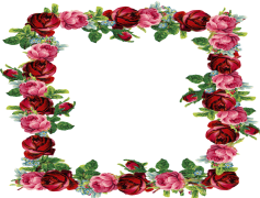 Artistic Flower Frame, Handcrafted Frame, Decorative Border, Creative Decoration, Botanical Art PNG