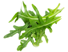 Arugula, Healthy, Greens, Leafy, Cuisine PNG