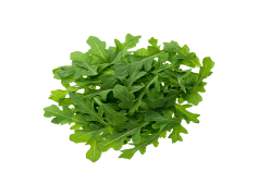 Arugula, Leafy, Vegetable, Salad, Peppery PNG