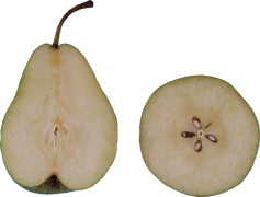 Asian Pear, Asian Cuisine, Fruit, Healthy, Snack PNG