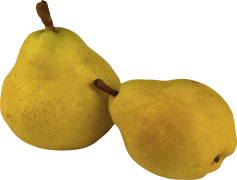 Asian Pear, Crunchy, Asian, Fruit, Sweet PNG