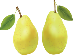 Asian Pear, Juicy, Crunchy, Tree, Fruit PNG