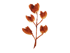 Autumn Aesthetic Theme, Falling Leaves, Cozy Vibes, Nature Palette, Warm Tones PNG