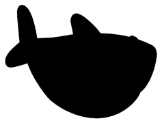 Baby Shark, Adventure, Fun, Ocean, Dance PNG