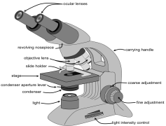Basic Microscope, Optical Tool, Science Equipment, Magnification, Educational Purposes PNG