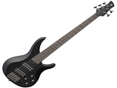 Bass Guitar, Amplified Sound, Musical Instrument, Groove Creator, Low Frequencies PNG