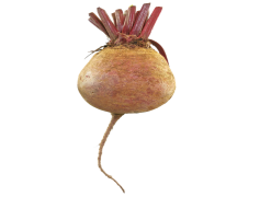 Beetroot, Health, Salad, Vegetable, Juicing PNG