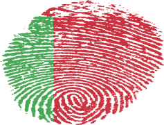 Belarus Flag, Red Stripe, State Identity, Symbolic Colors, Green Field PNG