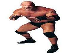Bill Goldberg PNG Clipart