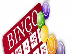 Bingo, Game, Win, Players, Numbers PNG
