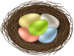 Bird Nest Colorful Eggs, Vibrant, Decor, Springtime, Nesting PNG