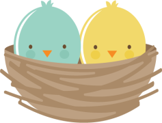 Bird Nest, Wildlife, Eggs, Sanctuary, Nature PNG