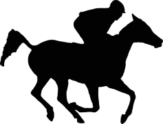 Black Arabian Horse, Graceful, Equine Beauty, Arabian Breed, Majestic PNG