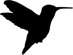 Black Flying Hummingbird, Bird, Nature, Tropical, Nectar PNG