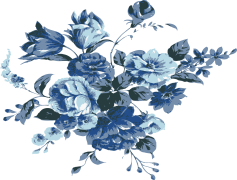 Blue Flower, Nature, Colorful, Bloom, Floral PNG