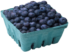 Blueberry, Organic, Healthy, Nutritious, Snack PNG