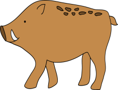 Boar, Adventure, Hunting, Forest, Nature PNG