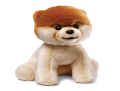 Boo Dog, Playful, Pet, Fun, Cute PNG