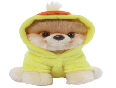 Boo Dog, Puppy, Cartoon, Pet, Friendly PNG