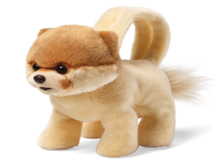 Boo Dog, Puppy, Fun, Cartoon, Cute PNG