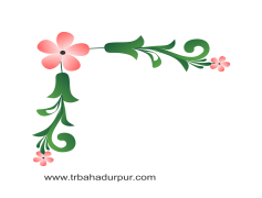 Border Design Square Floral Petals Vector, Nature Inspired, Elegant Frame, Artistic Border, Square Pattern PNG