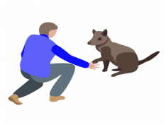 Boy And Dog, Nature, Adventure, Friendship, Loyalty PNG