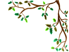 Branches, Foliage, Twigs, Boughs, Shoots PNG